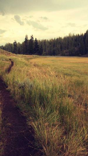 蜘蛛池 Seo的秘密截图4