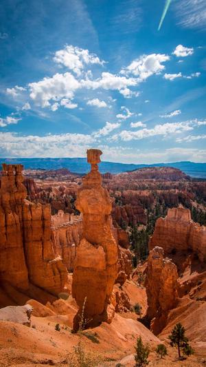 专业seo优化公司截图3