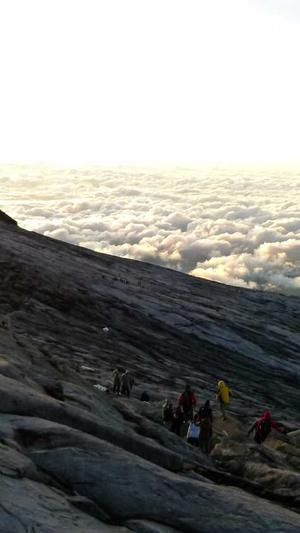 泛目录小说截图1