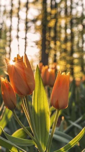 黑龙江建设网官方网站截图4