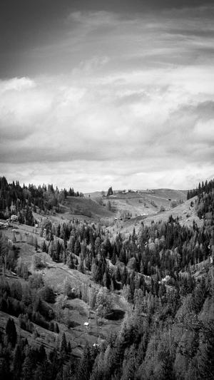 泛目录排名步骤截图3