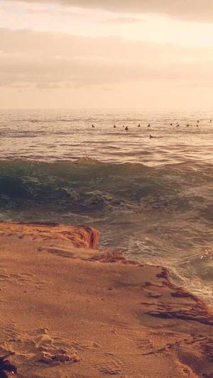 蜘蛛池徽ahua seо找找截图1