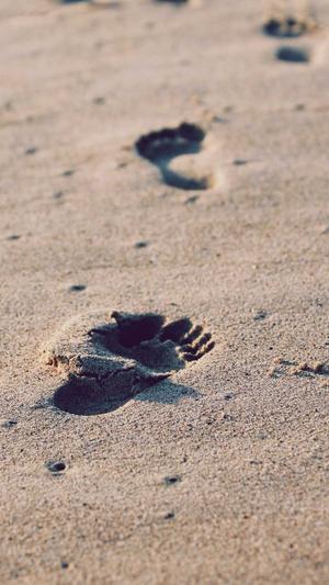 南昌seo推广截图3