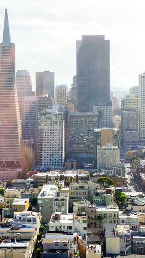 seo常用工具网站截图1