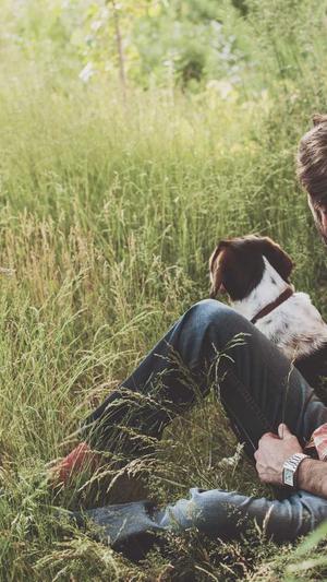 微网站建设截图5