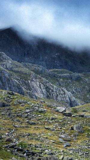 三明网站建设截图2