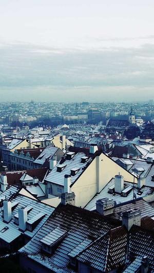 seo数据统计分析工具是截图2