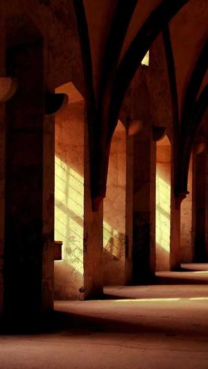 蜘蛛池1千个域名截图1