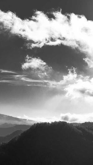 重庆网站seo方法截图3