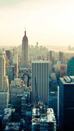 网站建设优化截图2