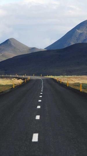 p2p蜘蛛池什么意思截图1