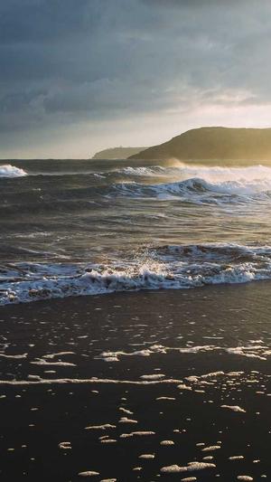 上海品牌网站建设公司截图2