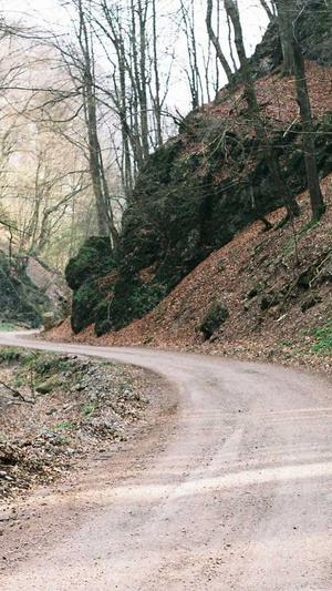 英文seo关键词工具截图1