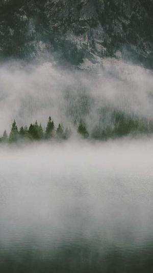 东莞seo优化截图3