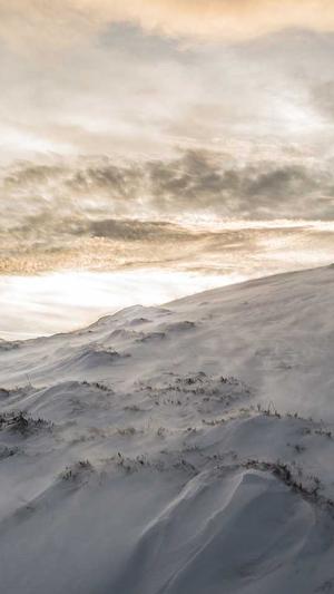 泛目录站群cms截图5