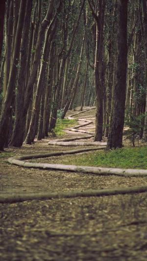 seo案例分析截图5