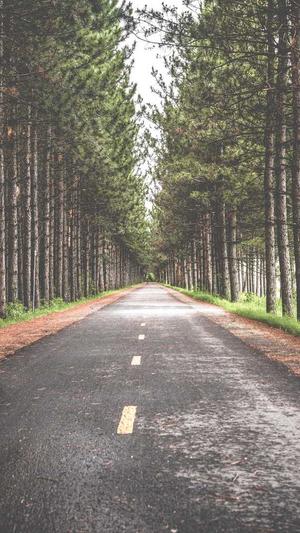 seo诊断分析工具有哪些截图1