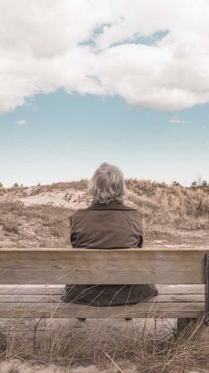 蜘蛛池提交截图2