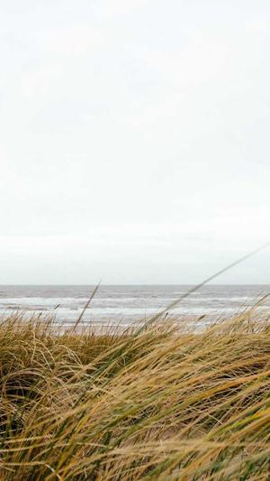 seo自动生成工具霸屏截图4