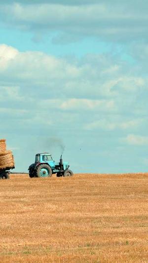 重庆高端seo截图1