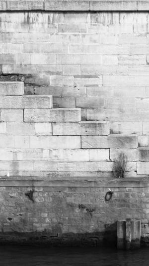 seo优化建议工具截图4