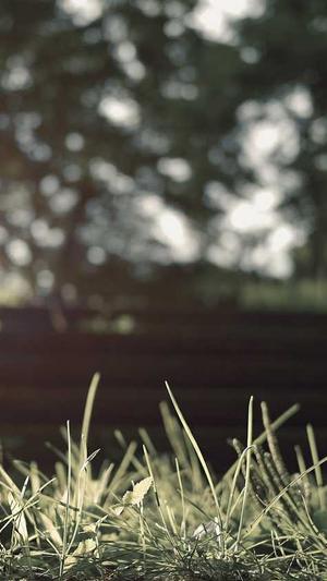 新网站seo优化截图1