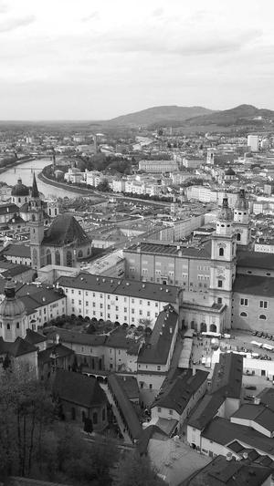 蜘蛛池那个好用截图3