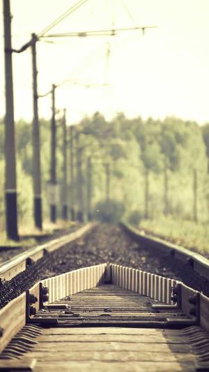 平顶山网站建设截图1