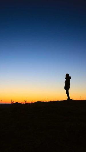 辽宁出租蜘蛛池电话截图5