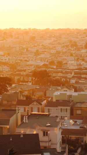 seo优化必备工具截图3