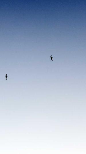 蜘蛛池高级版截图4