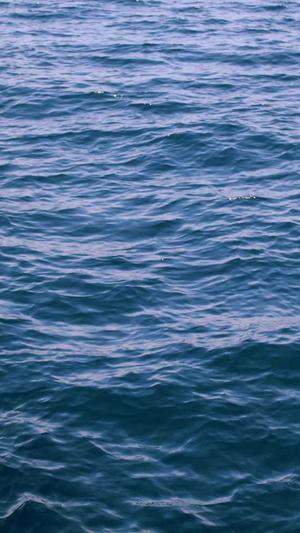 十大seo工具截图1