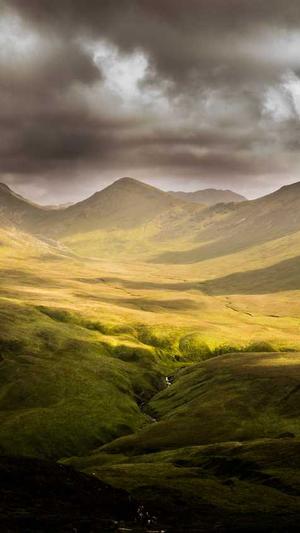 蜘蛛池怎么看真假鉴别截图4