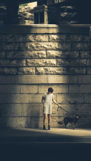 上海网站建设公司截图5