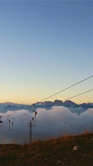 google蜘蛛池怎么做截图1