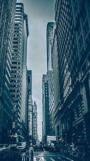 Seo查询工具截图2