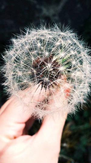 seo刷排名工具截图2