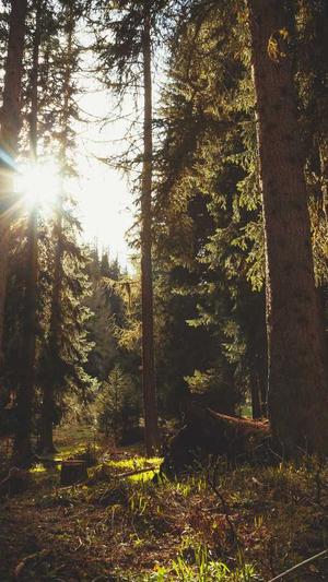 seo培训资料截图1