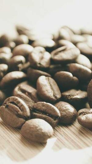 seo软件优化工具软件截图4