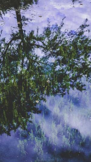 整站seo关键词排名工具截图3