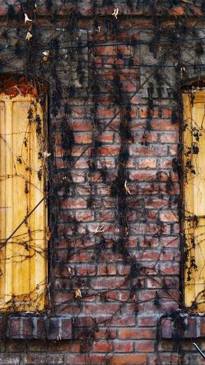 网站seo文章代写截图5