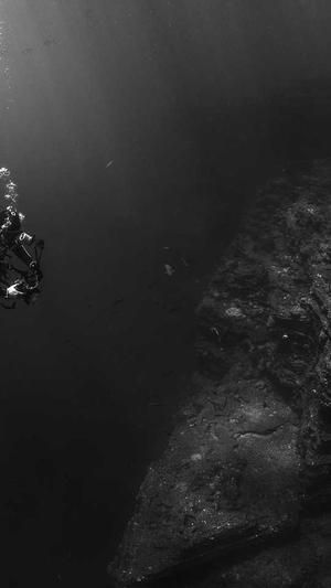 seo工具软件下载截图1