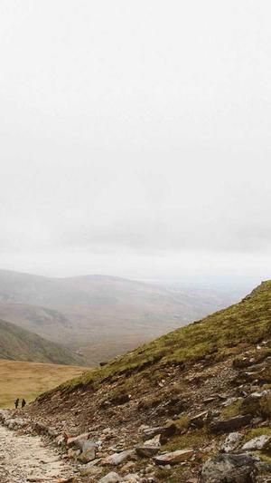 东营网站建设截图4