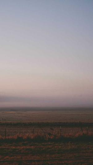 排名seo工具截图4