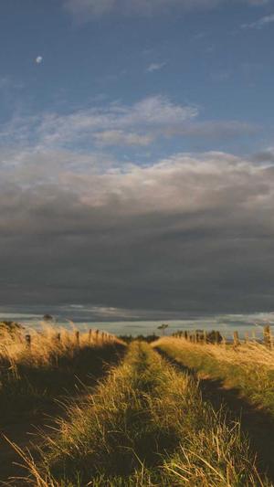 网站建设公司上海做网站公司截图3