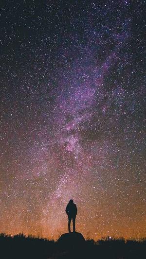 google蜘蛛池怎么做截图3