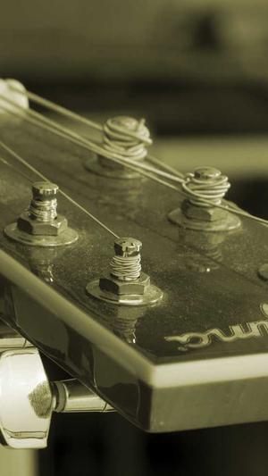 胜浦网站建设截图3