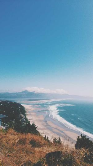 河南蜘蛛池租用截图2