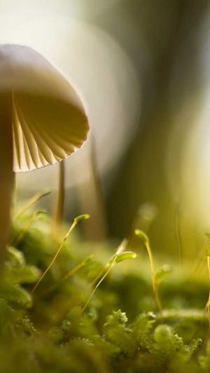 网站建设论文截图1