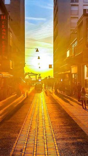 最新蜘蛛池截图2